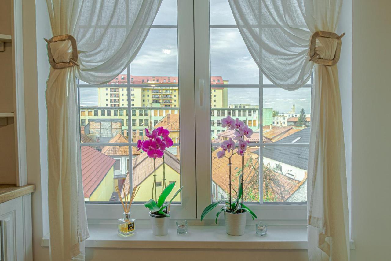 Appartement Opera Apart à Braşov Extérieur photo